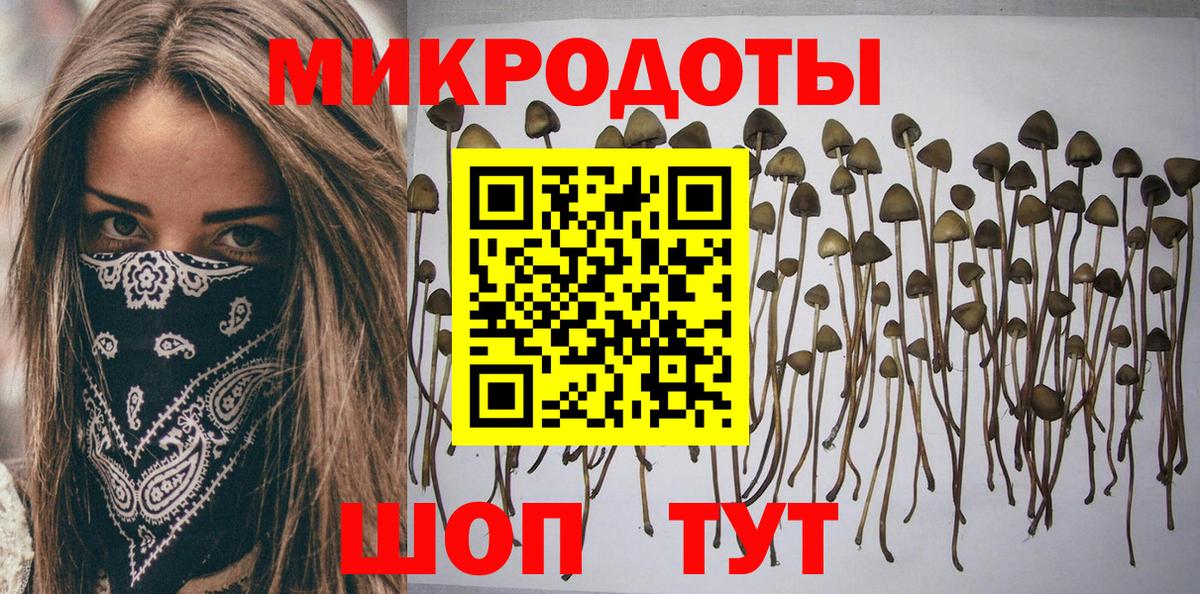 Псилоцибиновые грибы мицелий Реж